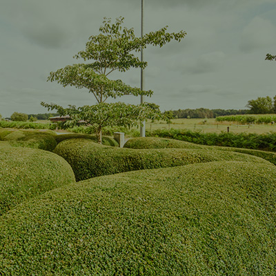 Tuinonderhoud