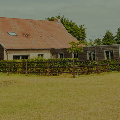 Weidebeheer